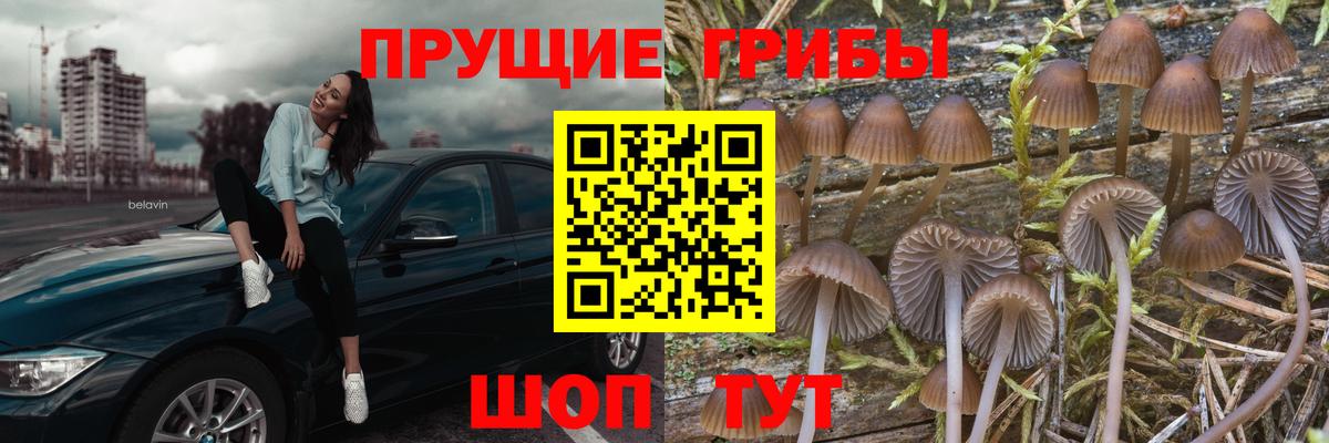 Псилоцибиновые грибы мухоморы  Галлюциногенные грибы Cubensis  Вход с VPN  Луга 