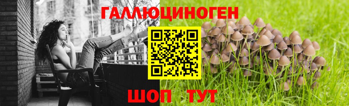 Псилоцибиновые грибы прущие грибы Луга
